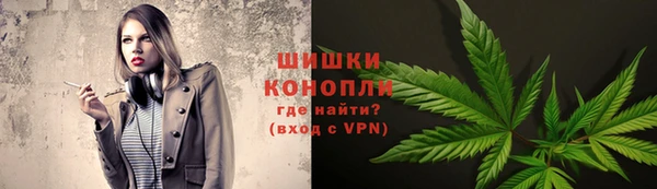Альфа ПВП Аркадак